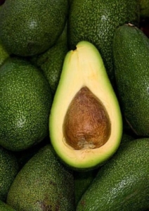 Top Avocado Exporter