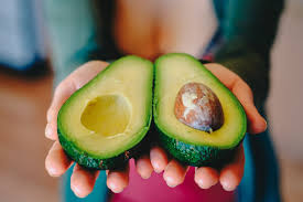 avocado import Netherlands