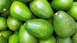 avocado prices