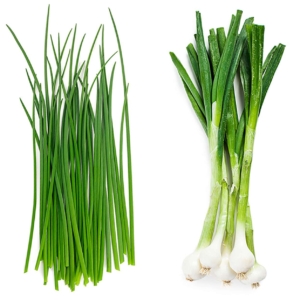 chives importers Saudi Arabia