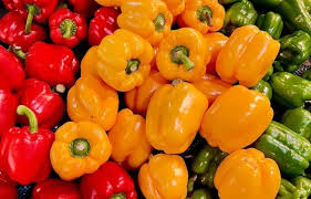 Capsicum Importers in China