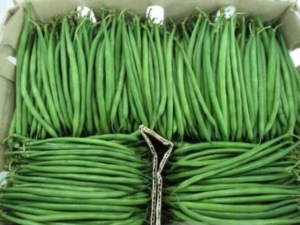 Buy Organic Fine Beans Zurich