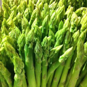 Wholesale Asparagus Import Zurich