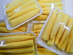 Organic Baby Corn Import Basel