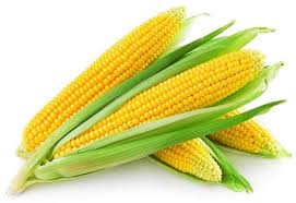 Kenya Baby Corn Supplier to South Korea