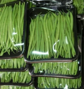 Buy Organic French Beans Izmir