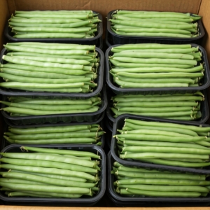 Buy Organic French Beans Izmir