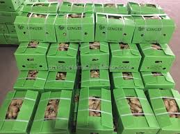 Organic Ginger Supplier Kenya to Seoul