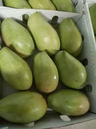 Ngowe Mango Supplier Patras