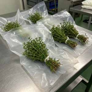 Kenyan Thyme Export Portugal